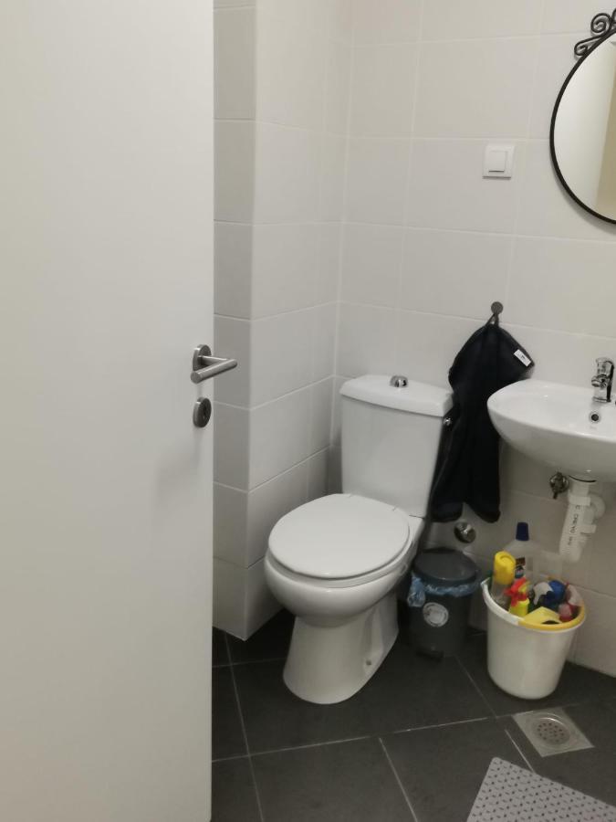 Sweet Near The Centar With Garage Apartment